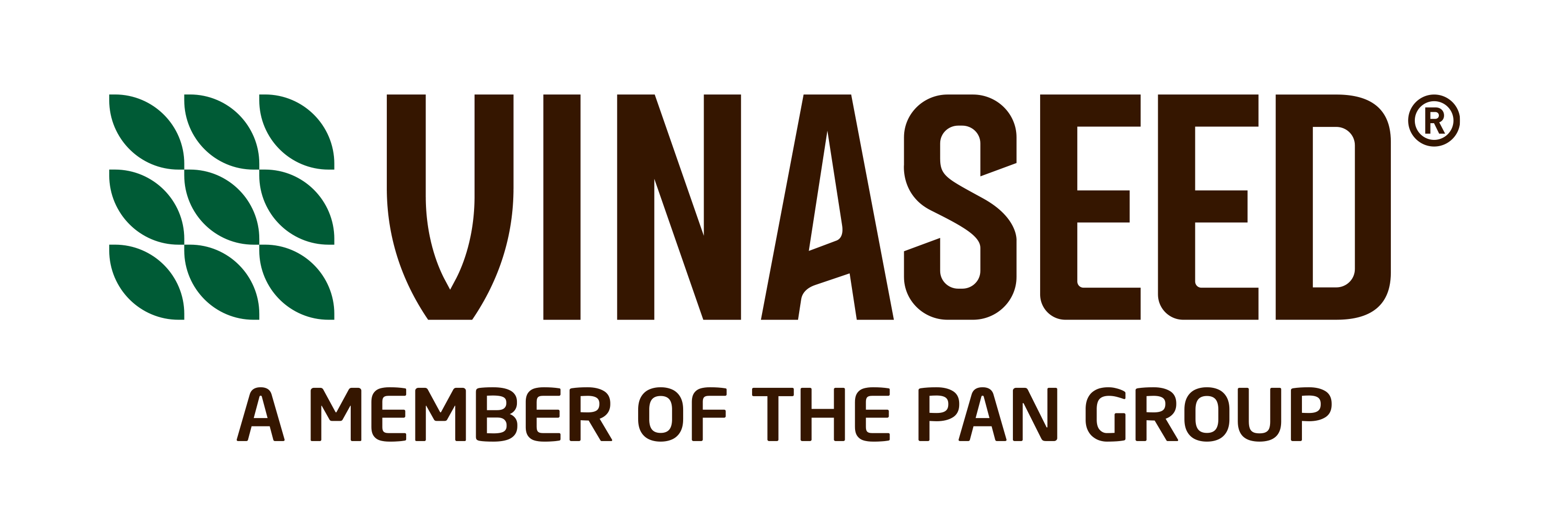 Vinaseed NSC Logo